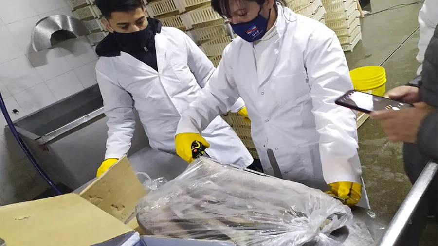 Entre los operativos se incluyeron fiscalización a establecimientos frigoríficos y lugares de acopio y procesamiento de pescado en Victoria. Entre los operativos se incluyeron fiscalización a establecimientos frigoríficos y lugares de acopio y procesamiento de pescado en Victoria.