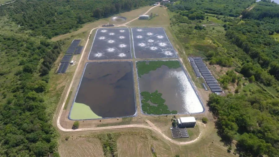 La Municipalidad de Gualeguaychú anunció que desde el viernes la planta de tratamientos de efluentes trabaja al 100 por ciento, porque se logró la extracción y secado de los barros.