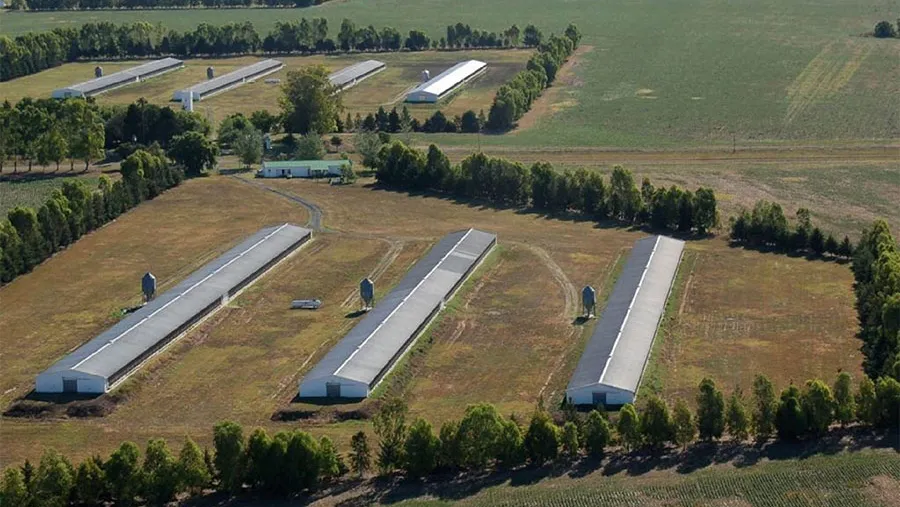 Distintos productores de la economía regional valoraron la eliminación de aranceles a la exportación de productos que instrumentó el Gobierno nacional y que impacta de manera positiva en Entre Ríos. Distintos productores de la economía regional valoraron la eliminación de aranceles a la exportación de productos que instrumentó el Gobierno nacional y que impacta de manera positiva en Entre Ríos.