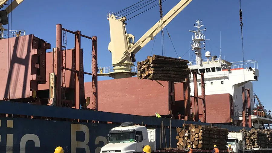 Los cuatro puertos públicos de Entre Ríos están trabajando de forma simultánea bajo los protocolos de higiene y seguridad dispuestos según las exigencias nacionales e internacionales.