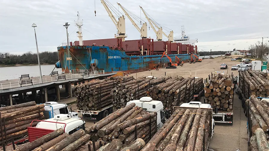 Un informe del gobierno provincial indica que, en solo seis días de trabajo, cada embarque de exportación que se realiza entre los puertos de Concepción del Uruguay e Ibicuy movilizan a más de 1.500 trabajadores entrerrianos de distintos sectores. Un informe del gobierno provincial indica que, en solo seis días de trabajo, cada embarque de exportación que se realiza entre los puertos de Concepción del Uruguay e Ibicuy movilizan a más de 1.500 trabajadores entrerrianos de distintos sectores.