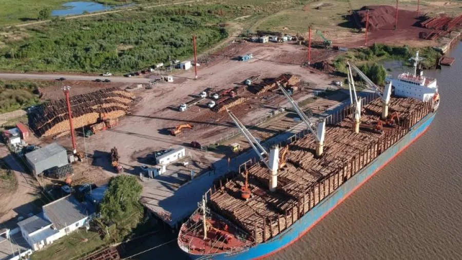El Puerto de Ibicuy realizó embarques por casi 200 mil toneladas en 2020 El Puerto de Ibicuy realizó embarques por casi 200 mil toneladas en 2020