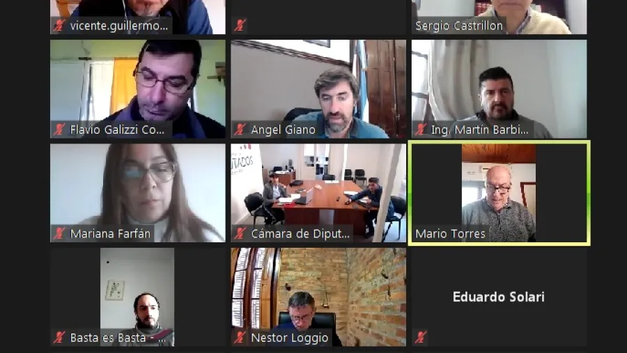 Comisión Recursos Naturales Diputados