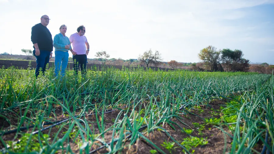 Parque Hortícola Municipal