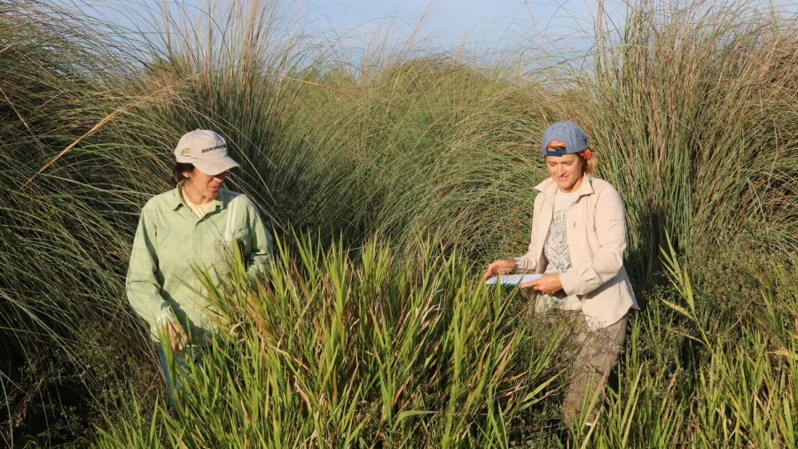 relevamiento reserva Colón