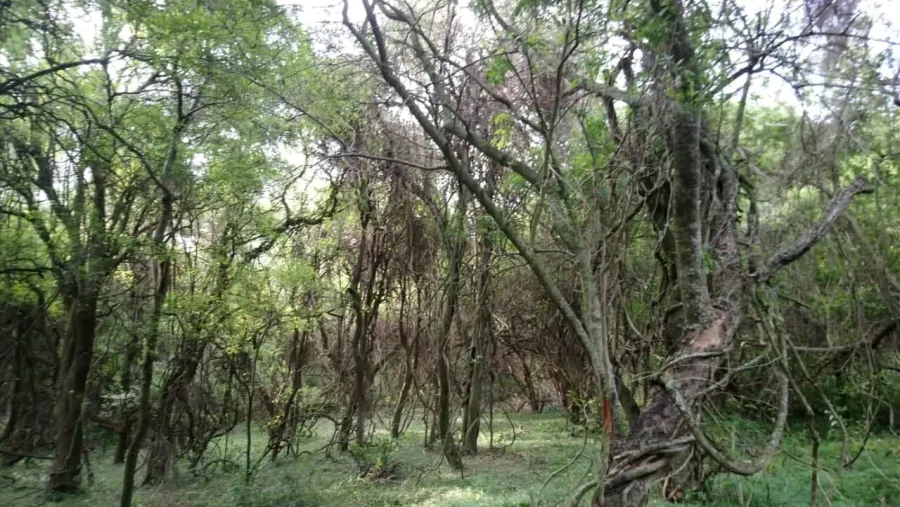 parque natual parque natural