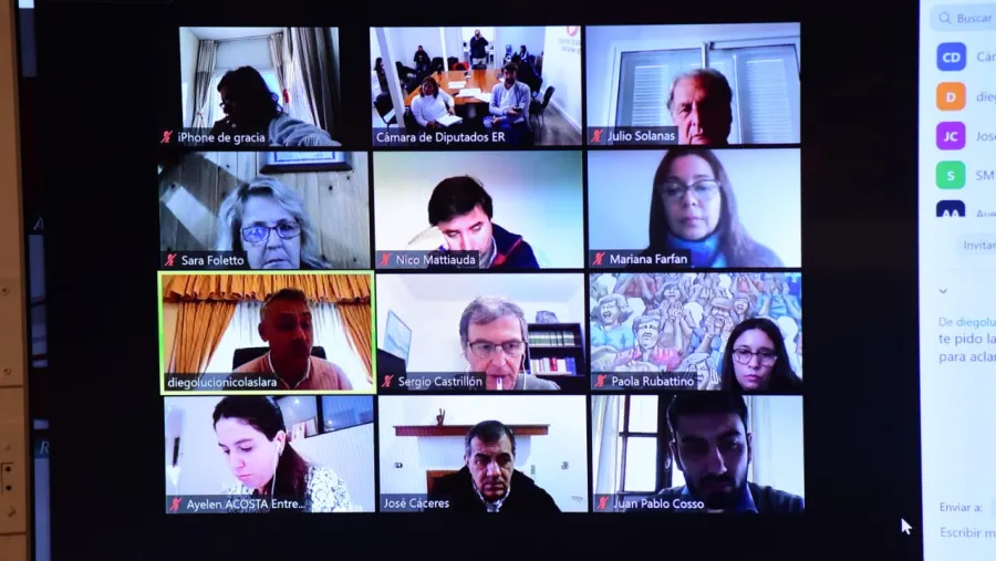 reunión virtual de comisiones Diputados 