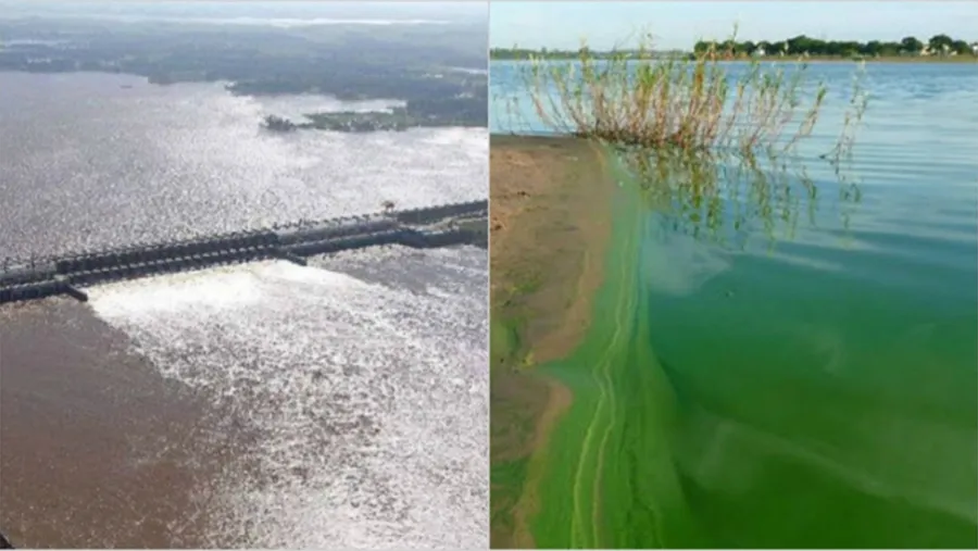 La contaminación del río Uruguay se agravará con el nuevo Digesto aprobado de manera inconsulta por la CARU.
