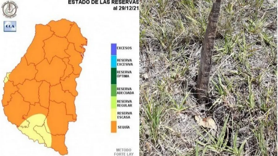 Advirtieron por los registros pluviales de diciembre más bajos en 70 años en Entre Ríos