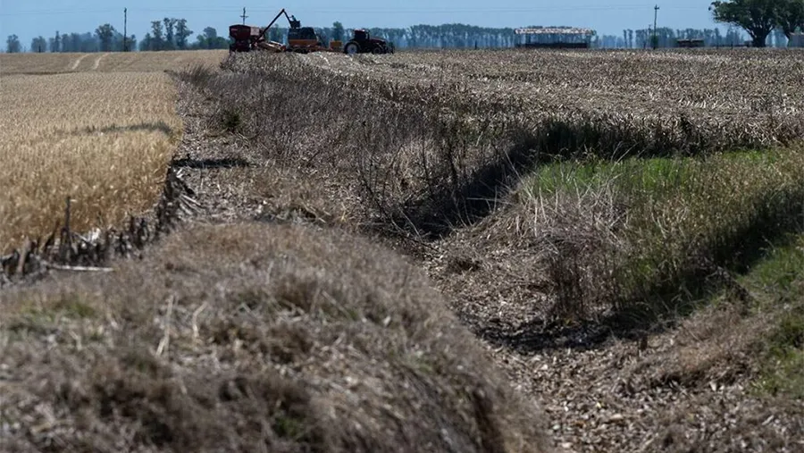 Argentina vive hoy el período de sequía más grave desde 2008. Según datos de la Bolsa de Cereales de Rosario, desde julio de este año faltaron, en el centro del país, entre 200 y 300 milímetros de agua.