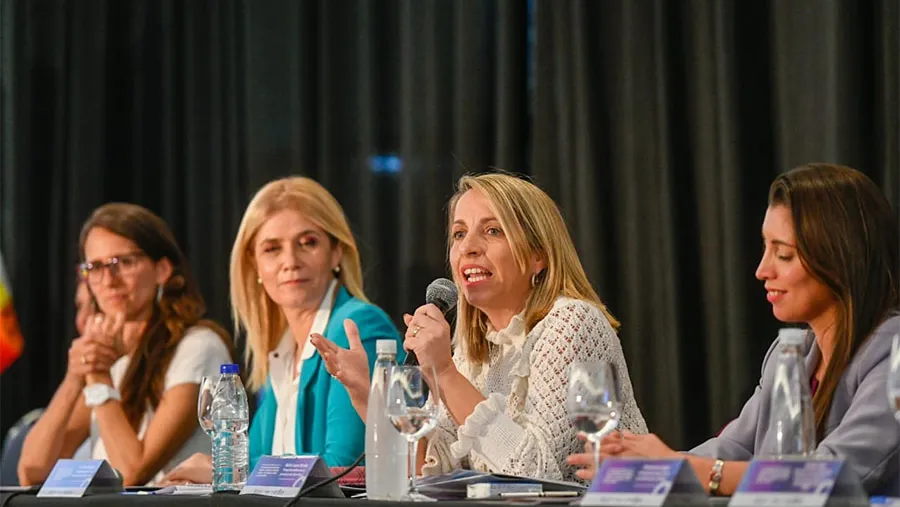 La vicegobernadora disertó en el panel “La sociedad del cuidado: desafíos políticos para el presente”, en el marco de la Pre Conferencia Federal, un ámbito previo a la XV Conferencia Regional de la Mujer de América Latina y el Caribe de Cepal y ONU Mujeres.