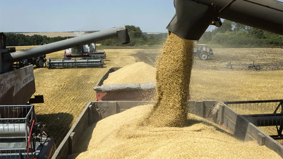 En el primer semestre de la campaña 2021/22 del trigo fueron récord tanto en volumen como en valor. Los países africanos fueron el principal destino, indicó la Bolsa de Comercio de Rosario. En el primer semestre de la campaña 2021/22 del trigo fueron récord tanto en volumen como en valor. Los países africanos fueron el principal destino, indicó la Bolsa de Comercio de Rosario.