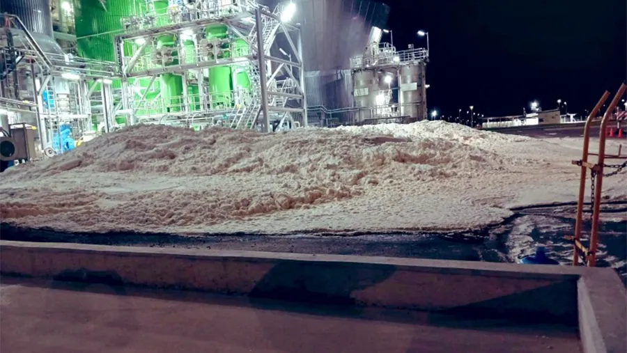 La producción está detenida desde el sábado tras romperse una cañería de pulpa de celulosa que, aseguran, no tiene impacto en el ambiente ni en la salud humana. La producción está detenida desde el sábado tras romperse una cañería de pulpa de celulosa que, aseguran, no tiene impacto en el ambiente ni en la salud humana.