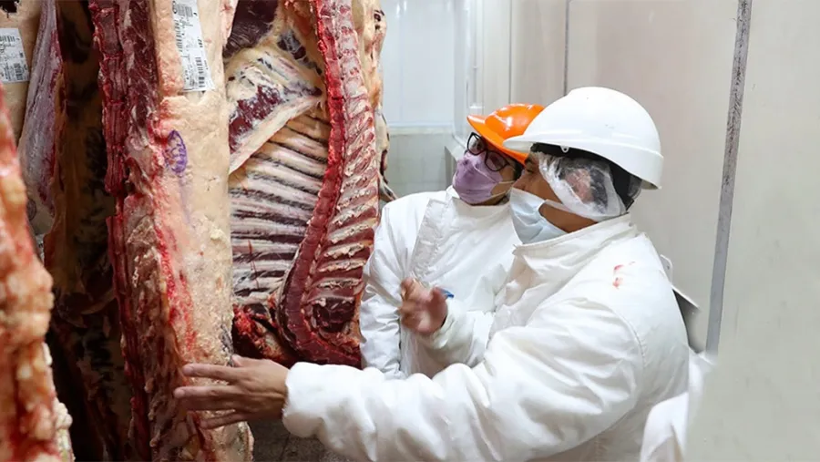 En teoría el gobierno nacional busca aumentar la producción ganadera y mejorar el consumo interno. En teoría el gobierno nacional busca aumentar la producción ganadera y mejorar el consumo interno.