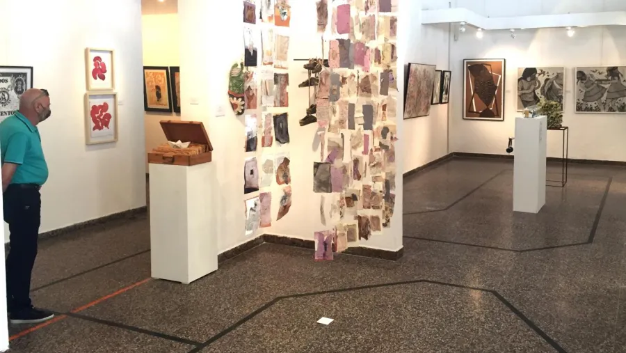 Museo Bellas Artes Museo Bellas Artes