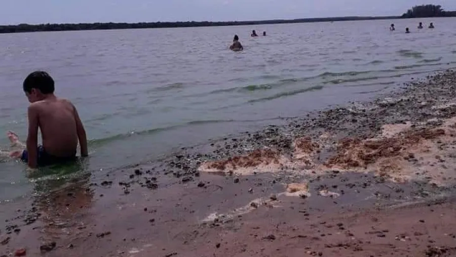 Denunciaron que playas de Colón están invadidas por algas tóxicas Denunciaron que playas de Colón están invadidas por algas tóxicas