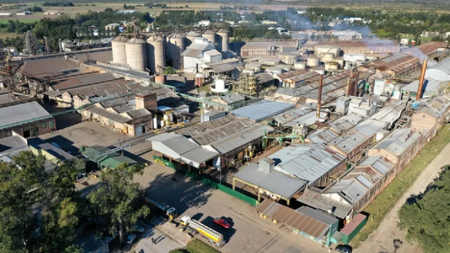 Vicentín Vicentín