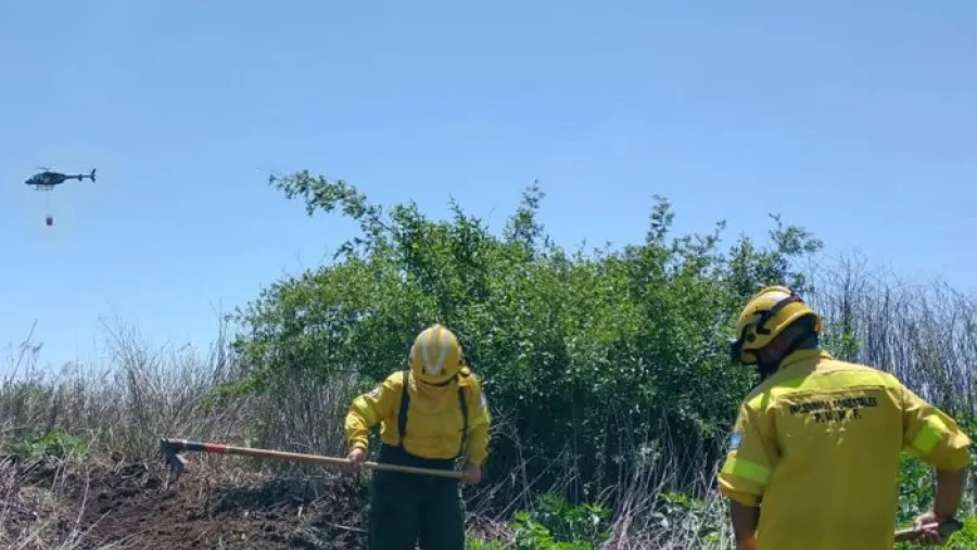 Con medios aéreos y brigadistas de Entre Ríos y Santa Fe sigue el combate de incendios