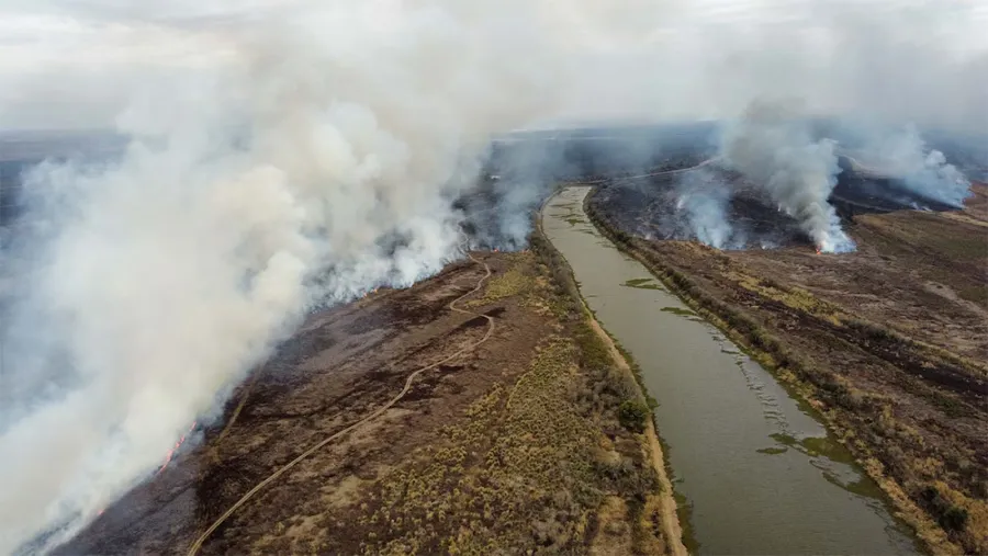 Imagen de archivo. La Cámara Federal confirmó la competencia del Juzgado de Victoria para esclarecer los delitos por los incendios en el Delta del Paraná.
