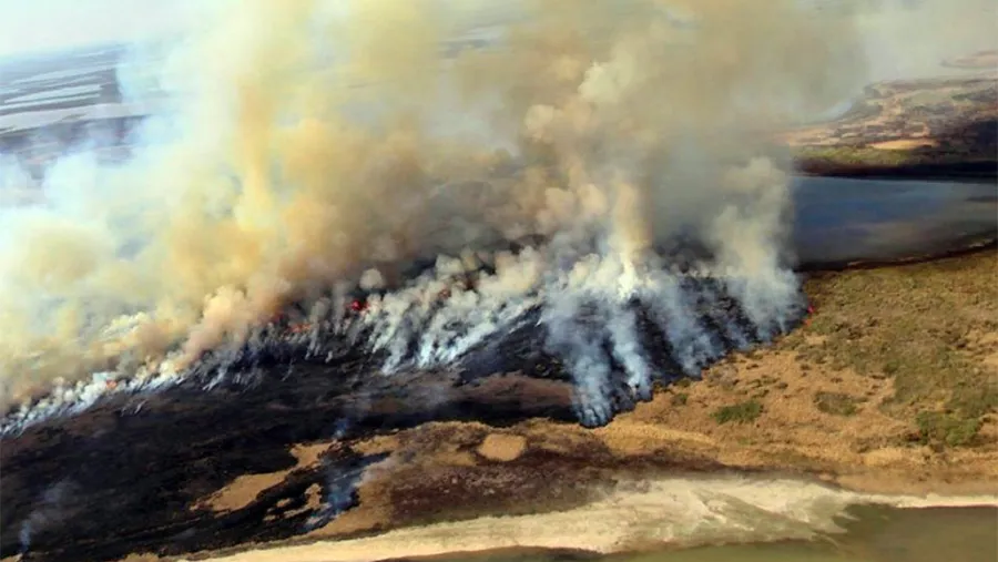 Nueve de diez partidas ambientales analizadas en el documento presentan recortes que llegan hasta el 83,2 por ciento. Los fondos para el manejo del fuego entre los más afectados.