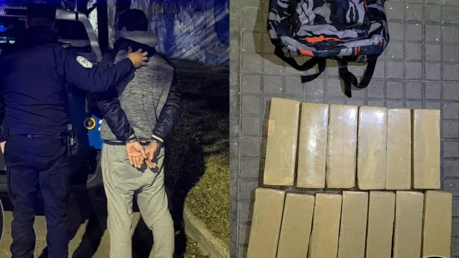 detenidos droga