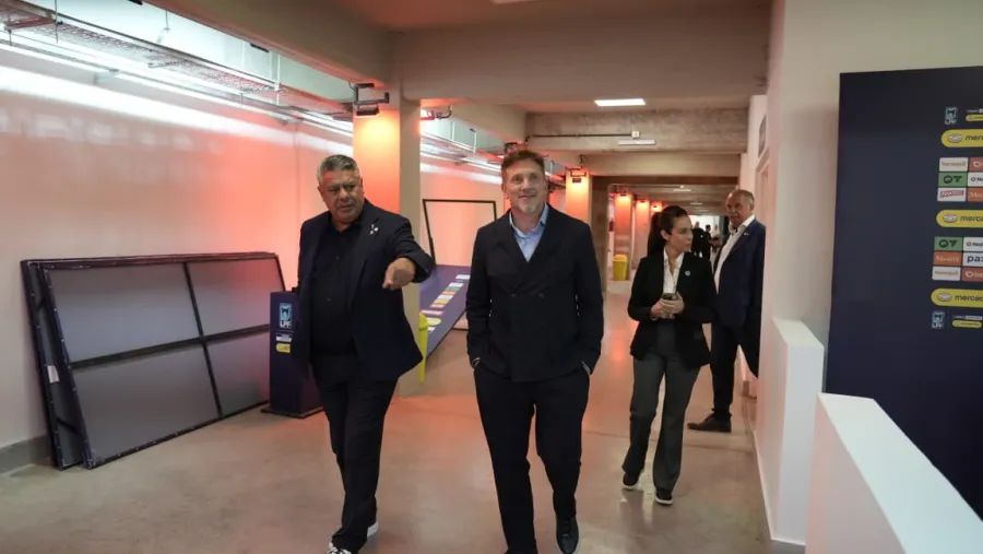Tapia y Domínguez
