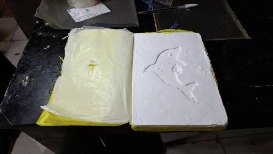 Ordenanza de una escuela tenía un ladrillo de cocaína con la marca del delfín en Concordia Ordenanza de una escuela tenía un ladrillo de cocaína con la marca del delfín en Concordia