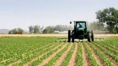 Censo agropecuario