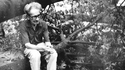 "En el aura del sauce"