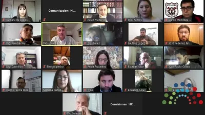 Reunión virtual