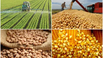 Propuestas. Entre las distintas propuestas electorales para el sector agropecuario se reproduce el viejo contrapunto entre un modelo agroexportador y otro de industrialización.