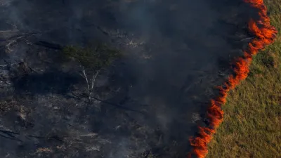 Lo que está sucediendo en el Amazonas con los incendios, tiene su origen en los agrotóxicos, el desmonte nativo, la expansión de la agricultura sin controles y el extractivismo en todas sus formas, entre otros males.