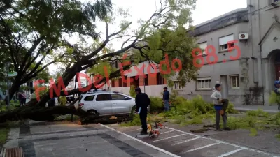 árbol caído en Nogoyá