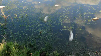 Investigarán posible lavado de activos en la contaminación de Citric Chajarí