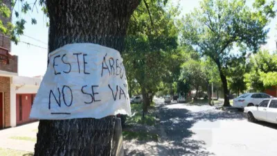 La Justicia llamó a una audiencia de conciliación por la tala en calle Racedo