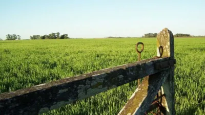 Sector agropecuario.