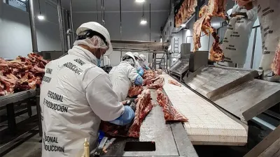 Sin regulación estatal, el precio local de la carne se equiparará al de exportación.