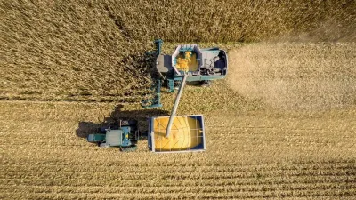 Si bien será una muy buena cosecha, el clima y un mercado con tendencia a la baja obligan a una mayor cautela en las proyecciones.Si bien será una muy buena cosecha, el clima y un mercado con tendencia a la baja obligan a una mayor cautela en las proyecciones.