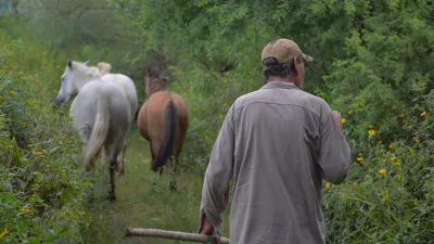 En la localidad de Paraná acompañan al programa la Fundación Eco Urbano y en Victoria la Asociación Civil Taller Flotante.
