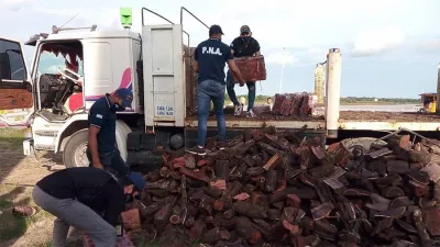Se comprobó que bajo la carga de toneladas de leña había 23 bultos con 413 panes de marihuana.