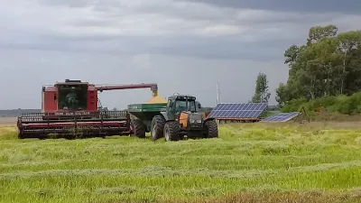 El rendimiento que arrojó el ensayo del uso de energía solar para el cultivo de arroz fue entre un 30 y un 40 por ciento superior al promedio que resulta del riego con energía eléctrica convencional.