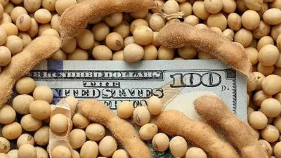 Aún con la sequía, el agro se mantiene como el sector más superavitario de la economía.