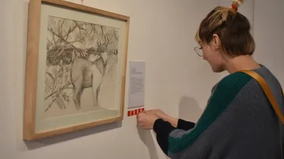 Museo de Bellas Artes de Entre Ríos 