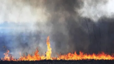 fuego