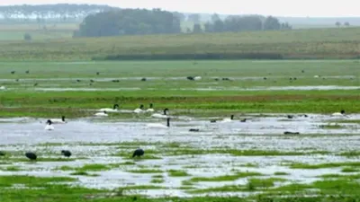 El Consejo Hídrico Federal analizó la Ley de Humedales, que se encuentra en tratamiento en ambas Cámaras legislativas nacionales.