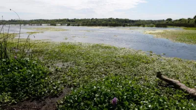 humedales del Paraná 