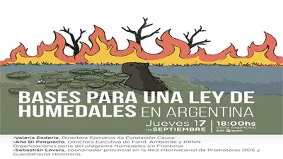 Cauce Ley de humedales