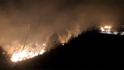 incendio campo Viale