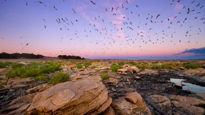 Debatirán en el Senado la creación de un Parque y Reserva Nacional en Río Negro