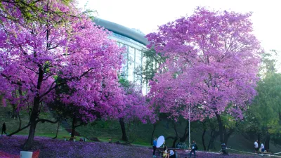 Foto Región Litoral